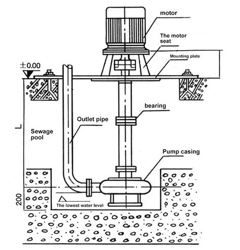 Vertical Centrifugal Pump Diagram