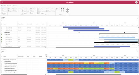 Portfoliomanagement Software für Projekte TPG The Project Group