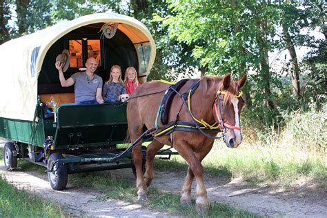 Urlaub Im Planwagen Tagestouren Mit Der Kutsche Mit Liesje Trecking