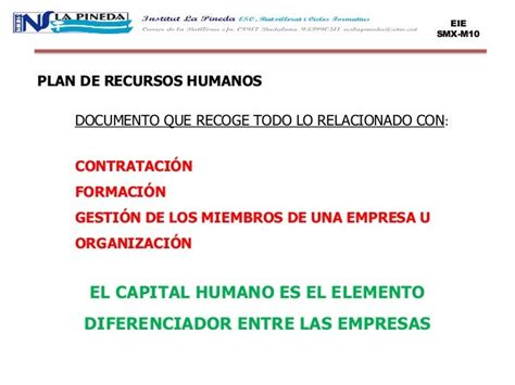 Capital Humano Ejemplos Plan De Recursos Humanos