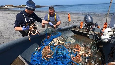 Commercial Fishing Netting For Ray Giant Spidercrab Hauling