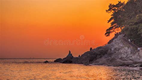 Sunset of Winter Haeundae Beach, Busan Stock Image - Image of bird ...