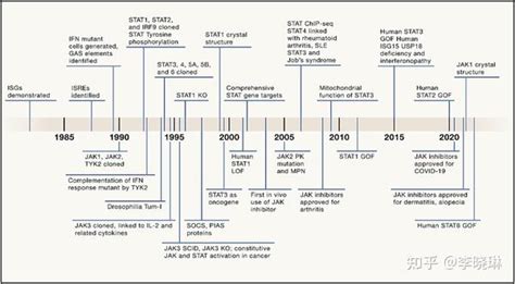 Jak Stat 信号通路 知乎