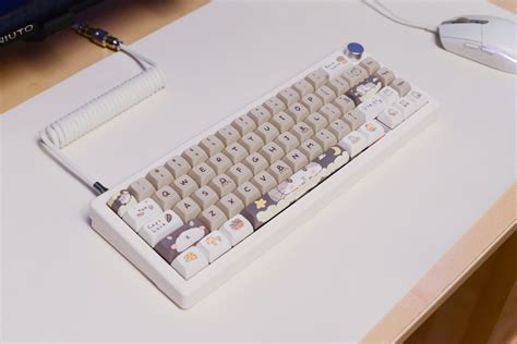 Custom Modded Mechanical Keyboard GMK67 65 Lubed Switches Thocky Hot Swap RGB Cute
