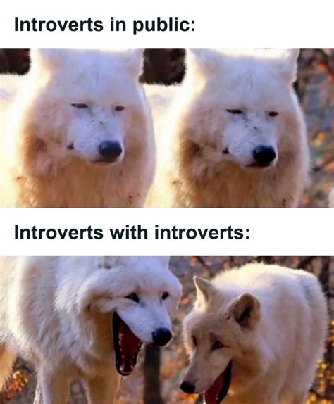 All About Introverts Of The Funniest Introvert Memes Bored