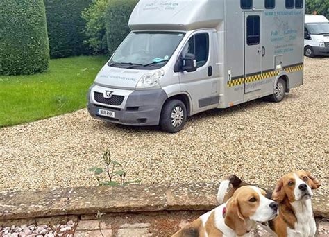 Mobile Vet Service From Folly Gardens Vets