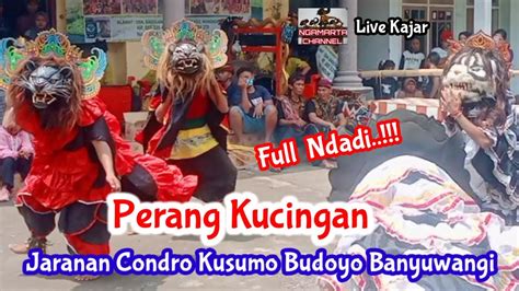 Sampak Kucingan Jaranan Ckb Banyuwangi Live Kajar Sidodadi Youtube