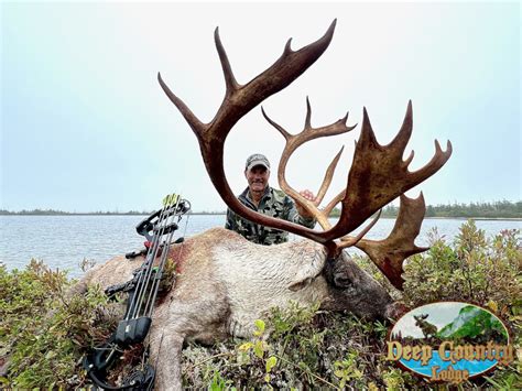 Trophy Woodland Caribou Deep Country Lodge Big Game Hunting In