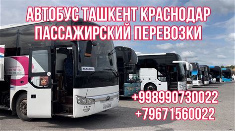 краснодар-ташкент из ташкент-краснодар автобус пассажирский перевозки # ...