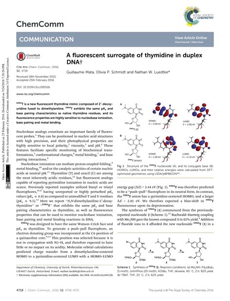 Pdf A Fluorescent Surrogate Of Thymidine In Duplex Dna