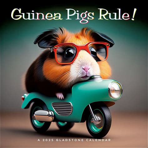 Guinea Pigs Rule 2025 Wall Calendar - Calendars.com