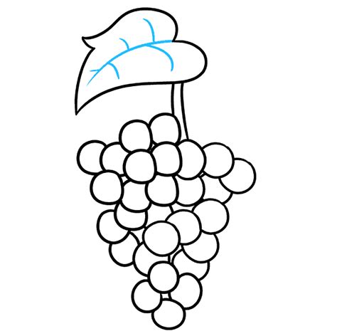 How To Draw Grapes Really Easy Drawing Tutorial