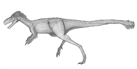 Eotyrannus Pictures & Facts - The Dinosaur Database