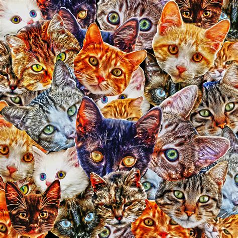 Cat Collage Digital Art by Michelle Murphy