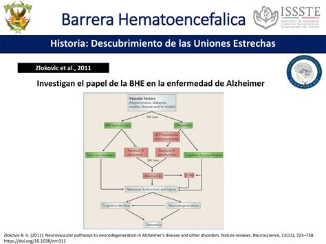 Barrera Hematoencefalica Ppt