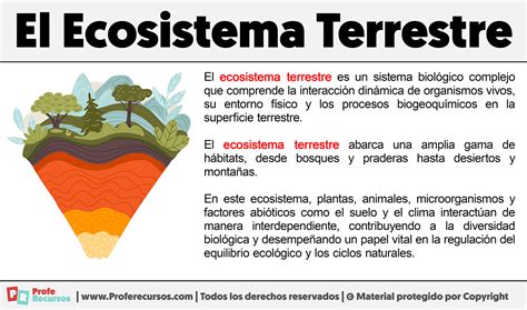 Qué es el Ecosistema Terrestre