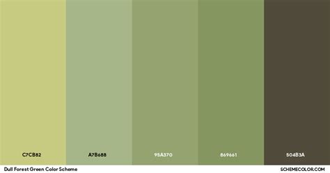 Dull Forest Green Color Scheme - Palettes - SchemeColor.com