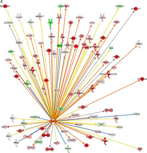 Whole Genome Transcriptomic Reveals Heat Stroke Molecular Signatures In Humans Bouchama 2023