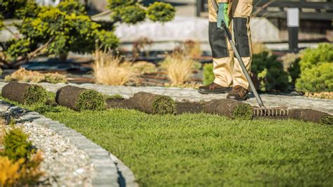 How Much Does Sod Installation Cost Data Angi