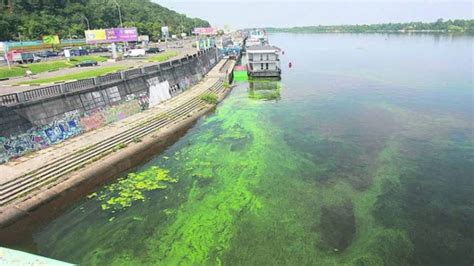 Чем обусловлен цвет воды? | Блог Ecosoft