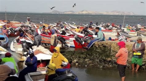 Inicia Registro De Pescadores En Mara Diario Contraste Noticias