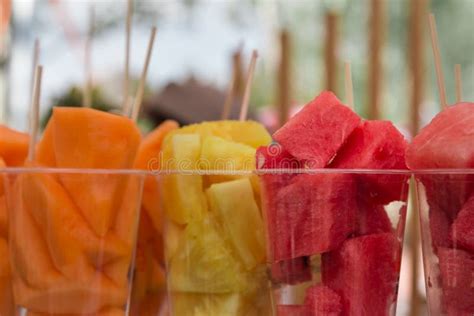 Assorted Fruit Salad in Plastic Glass Stock Photo - Image of fresh, lunch: 82176102