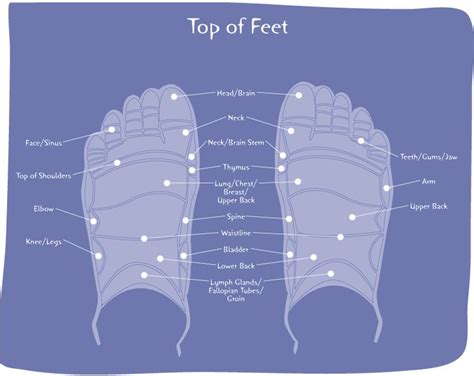 Diagram Foot Pain By Location Anatomy Of Foot Pain