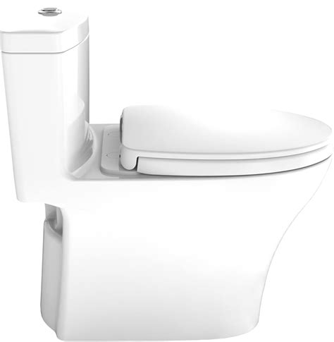 Price For Toto Toilet At Thomas Cash Blog