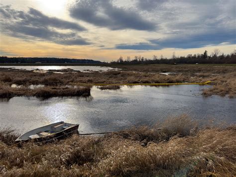 Olympic Pipeline Spill In Conway Wa Flickr