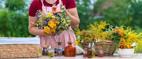 Mujer Con Hierbas Medicinales Y Tinturas Foco Selectivo Imagen De Archivo Imagen De Tarro