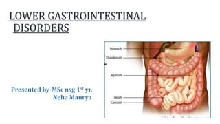 Introduction Of Lower Gi Disorders Ppt