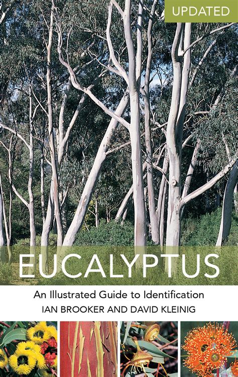 Eucalyptus: An Illustrated Guide to Identification (Updated Edition ...