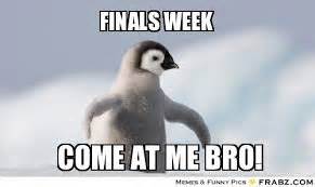 12 Finals Week Memes to Ease the Pain of Finals - Comediva