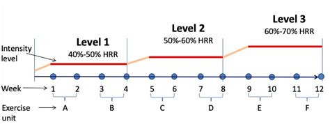 Program Overview Hrr Heart Rate Reserve Download Scientific Diagram