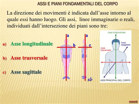 Ppt Corpo Spazio Movimento Powerpoint Presentation Id