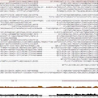Multiple Sequence Alignment using Clustal X. Conserved residues are ...