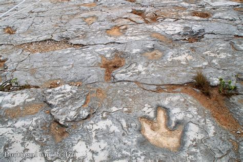 Pegadas De Dinossauros De Vale De Meios