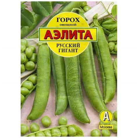 Горох сибирский гигант описание сорта - фото