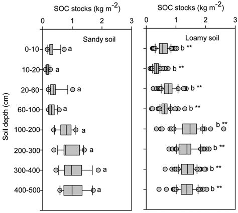 The Vertical Distribution Of Soil Organic C Soc Stocks For The Two