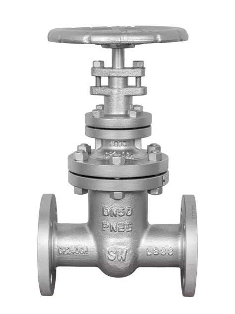 Zasuwy klinowe pierścieniowe GTM Process Valves