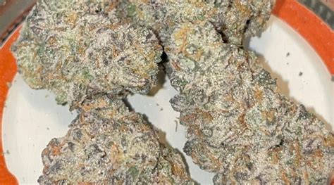 Strain Review Kush Mintz By The Honeysticks The Highest Critic