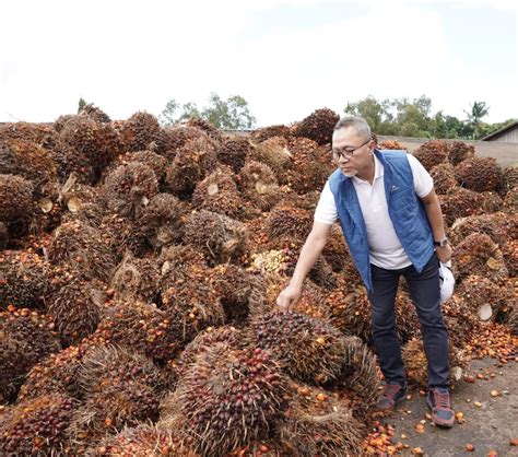 Mendag Yakin Indonesia Menang Lawan Uni Eropa Di Wto Soal Diskriminasi