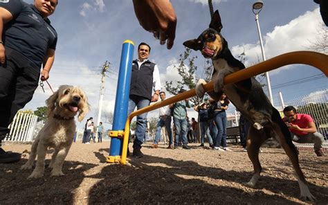 Entrega Nava parque canino en Avenida del Parque Diario de Querétaro