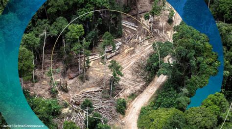 OYKOSMIGUEL A Morte Do Rio Nilo O Segundo Maior Rio Do Mundo