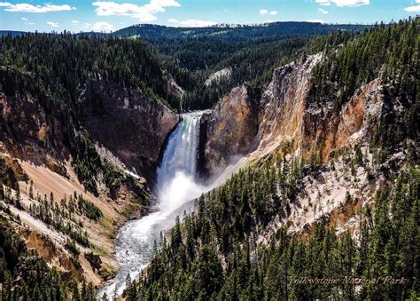 Yellowstone National Park Lower Falls Of The Yellowstone River Premium ...