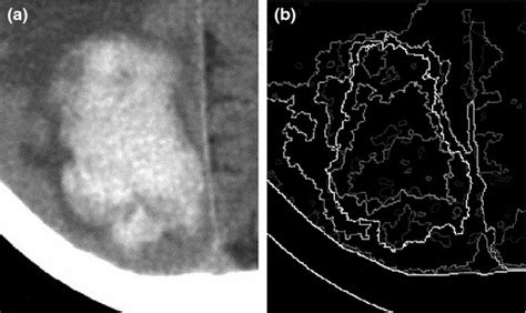 An Illustration Of The Creation Of A Ucm A A Synthetic Grayscale