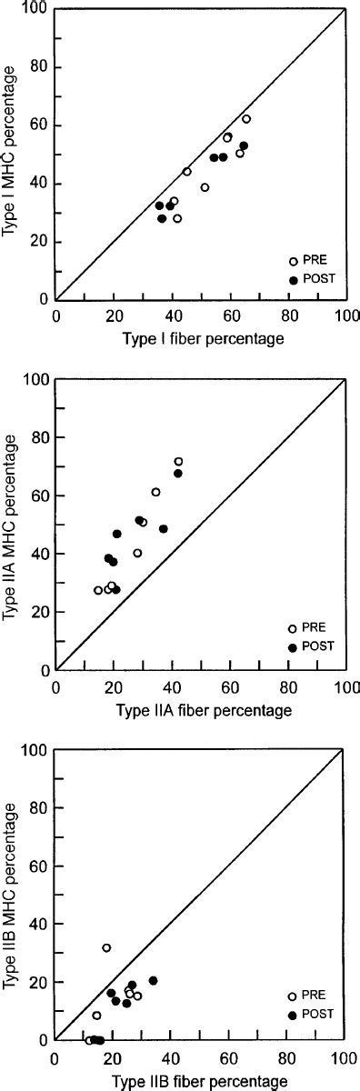 Relative Proportion Of Myosin Heavy Chains Mhc Determined From