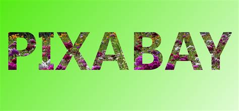 Download Pixabay Word Writing Royalty-Free Stock Illustration Image ... 