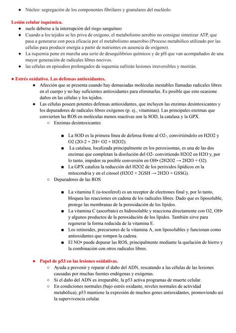 Solution Patologia Repaso Studypool