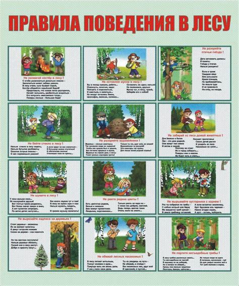 Картинки Правила Поведения На Природе Для Детей Памятка В Картинках ...
